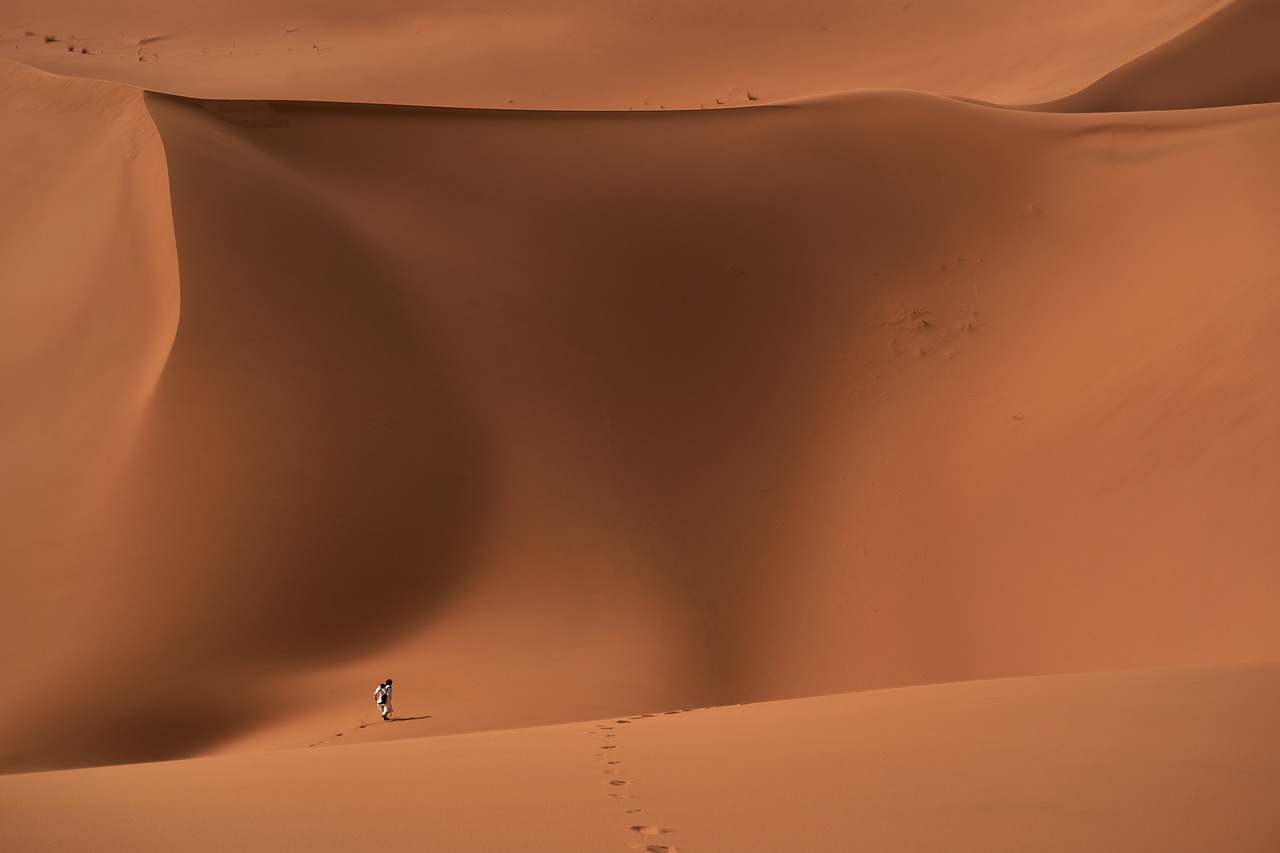 Morrocco's Sahara desert