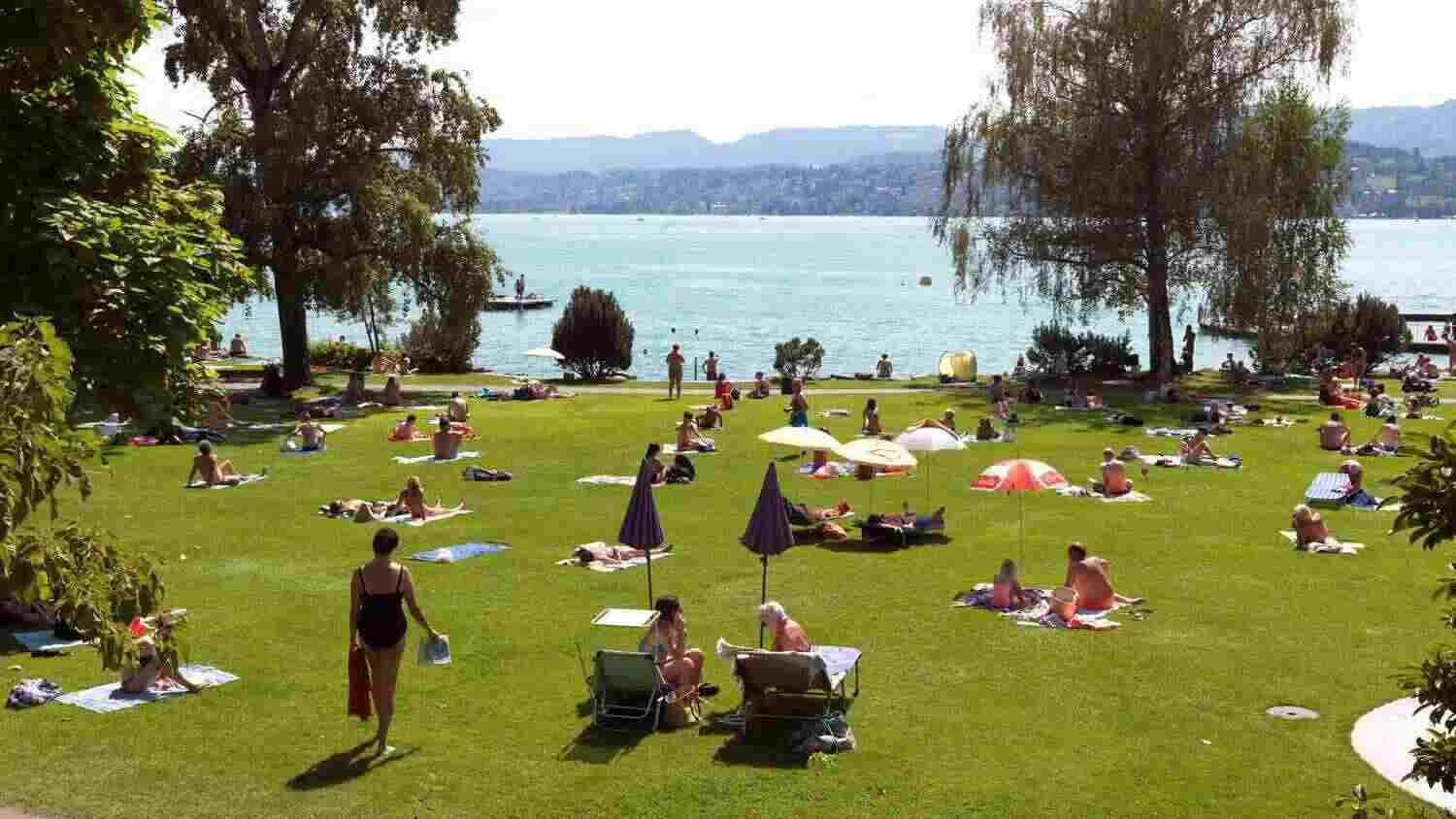 Lake Zurich