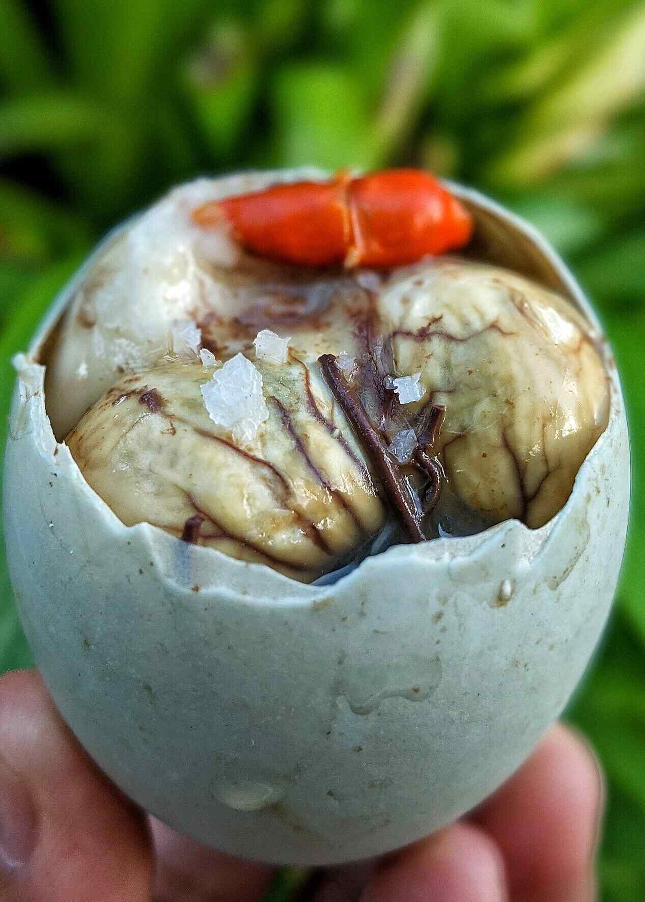 Balut Taste